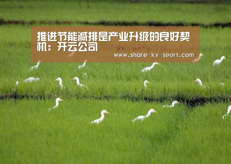开云集团