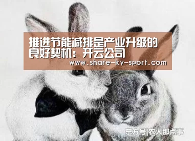 开云团队